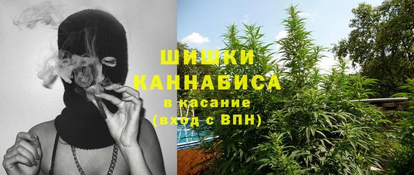 соль ск Вязьма