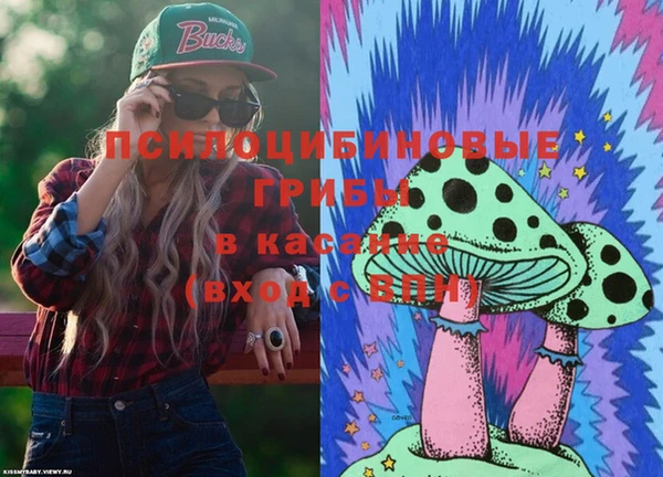 соль ск Вязьма