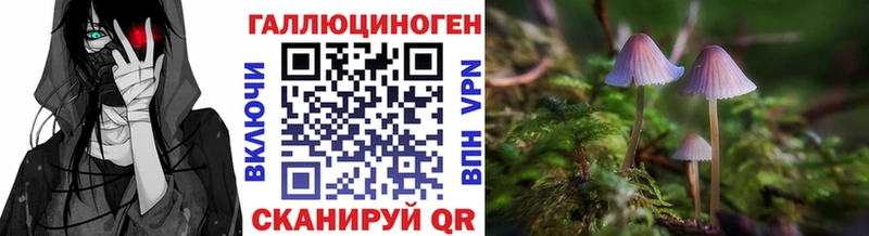 Купить  Льгов  Псилоцибиновые грибы прущие грибы 