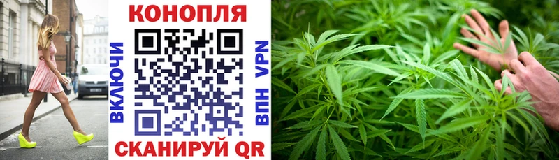Конопля сатива  Купить закладки  Льгов 
